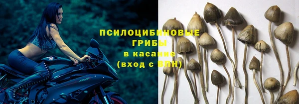 дмт Армянск